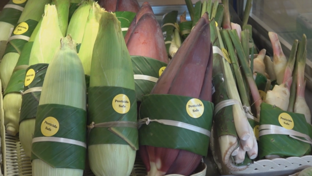 Bereits früher wurden viele Lebensmittel in Blättern verpackt. (Bild: kameraone)