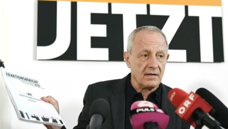 Peter Pilz (Bild: APA/ROBERT JAEGER)