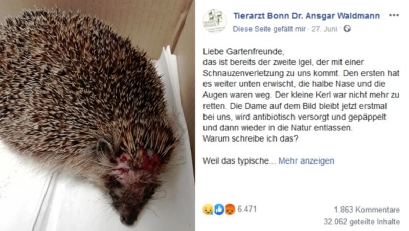 (Bild: facebook.com/Tierarzt-Bonn-Dr-Ansgar-Waldmann-1530011857250571)