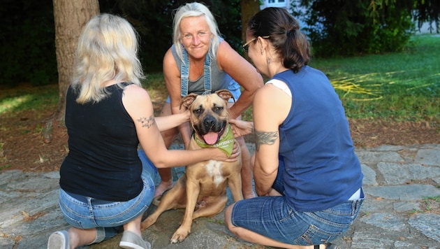 „Mucki“ mit Tiertrainerin Andrea März (Mitte) und den Frauerln Timea und Julia (Bild: Peter Tomschi)