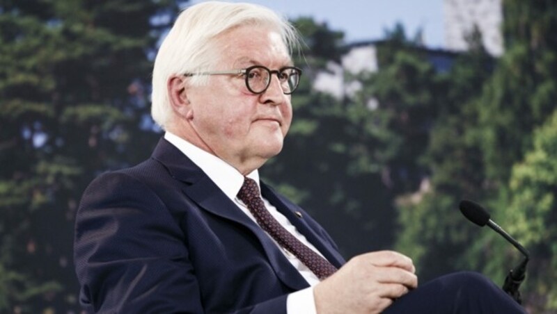 Präsident Frank-Walter Steinmeier übt Kritik am Vorgehen der italienischen Regierung in der Causa Sea-Watch 3. (Bild: APA/AFP/Lehtikuva/Roni Rekomaa)