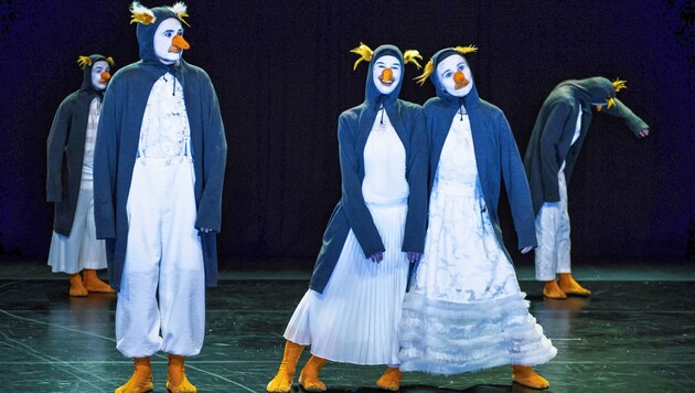 Das Grazer Theater Asou erkundet das Leben der Pinguine (Bild: Eva Buchinger)