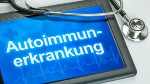 Bei Lupus richtet sich das Immunsystem gegen den eigenen Körper. (Bild: Zerbor/stock.adobe.com)