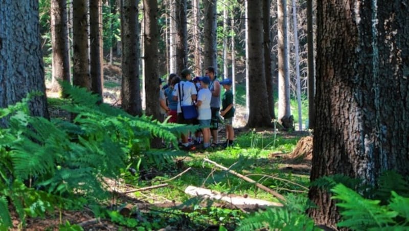 Spiele im Wald gehören dazu (Bild: Wallner Hannes/Kronenzeitung)