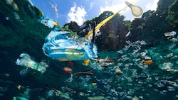 Laut einer neuen Studie könnte sich mehr als die Hälfte der geschätzten Plastikmasse in den Ozeanen am Meeresgrund abgelagert haben. (Bild: stock.adobe.com)