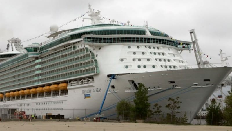 Das Kreuzfahrtschiff Freedom of the Seas, von dem das Baby fiel (Bild: The Associated Press)