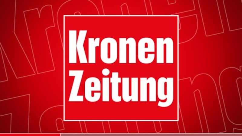 (Bild: krone.at-Grafik)