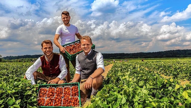 Bei der Ernte am Feld: Die junge Generation der Familie Reichenspurner. (Bild: Reichenspurner Hof)