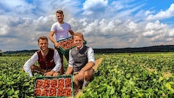 Bei der Ernte am Feld: Die junge Generation der Familie Reichenspurner. (Bild: Reichenspurner Hof)