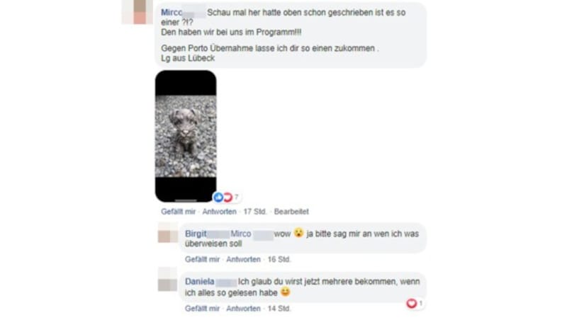 (Bild: facebook.com, krone.at-Grafik)