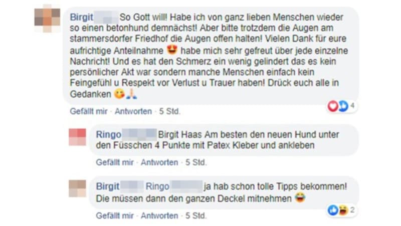 (Bild: facebook.com, krone.at-Grafik)