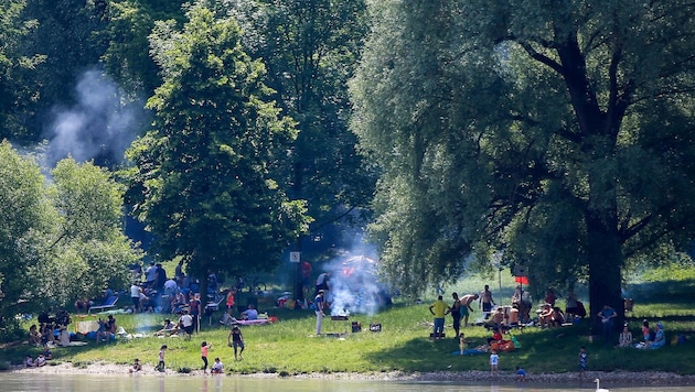 Hier am Linzer Donau-Ufer treffen sich derzeit die Grill-Enthusiasten (Bild: Scharinger Daniel)
