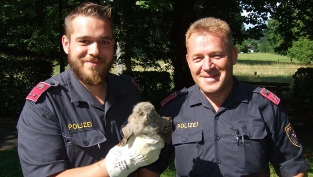 Die beiden tierlieben Beamten brachten den jungen Steinkauz in Sicherheit (Bild: Polizei Steiermark)