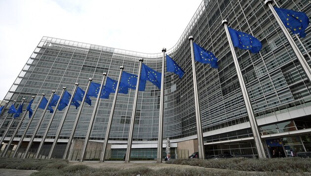 Auf EU-Ebene wird morgen über das strenge Lieferkettengesetz abgestimmt. (Bild: AFP/Emmanuel Dunand)