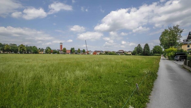 In Gneis will die Heimat Österreich ab Herbst 2020 insgesamt 230 Wohnungen errichten. Die letzte Bau-Etappe soll 2023 abgeschlossen sein. (Bild: Tschepp Markus)