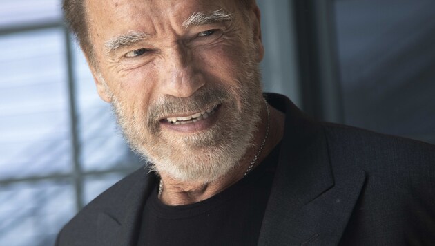 Arnold Schwarzenegger (Bild: Armando Gallo / Zuma / picturedesk.com)