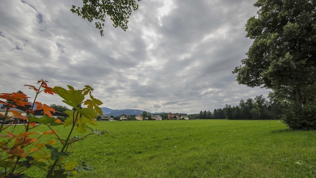 Auf dieser Wiese in Gneis ist eines der größten Projekte der vergangenen Jahre geplant. (Bild: Tschepp Markus)