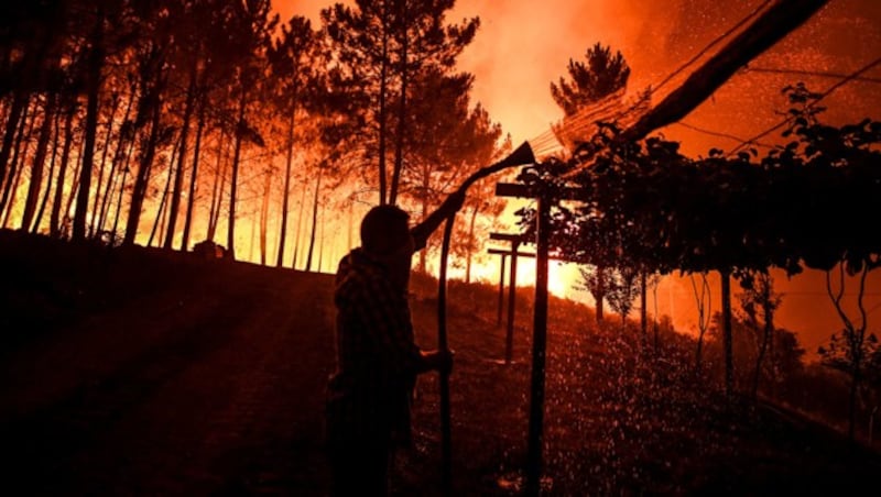 (Bild: AFP/Patricia de Melo Moreira)