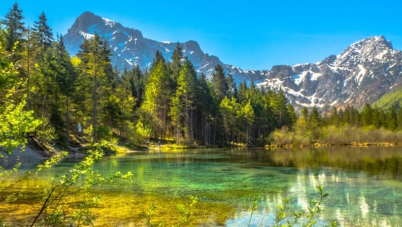 Atemberaubende Aufnahme des Almsees im oberösterreichischen Salzkammergut (Bild: Krone-Leserreporter Alexander R.)