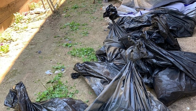 Zahlreiche tote Hunde hat die Frau in Plastiksäcke verpackt. (Bild: Claudia Fischer)