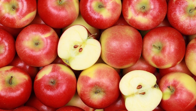 Apple ingredients are effective against cancer, diabetes, Alzheimer's and obesity, among other things. (Bild: stock.adobe.com)