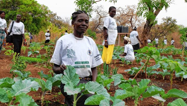 Landwirtschaftliche Schulungen sind Teil der Caritas-Projekte im Südsudan. (Bild: Caritas Steiermark)