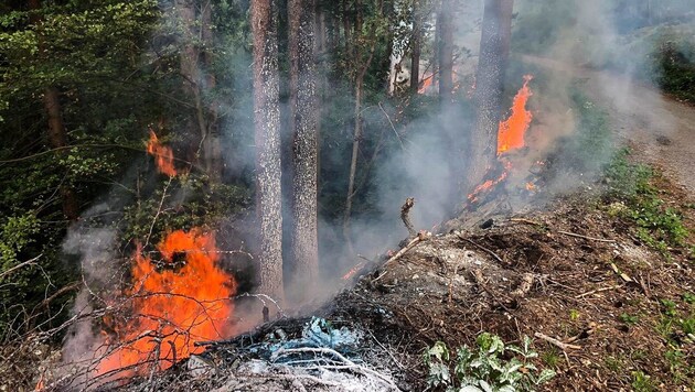 Trockener Boden und ausbleibender Regen: Tückische Rahmenbedingungen für Waldbrände. (Bild: LIEBL Daniel | zeitungsfoto.at)