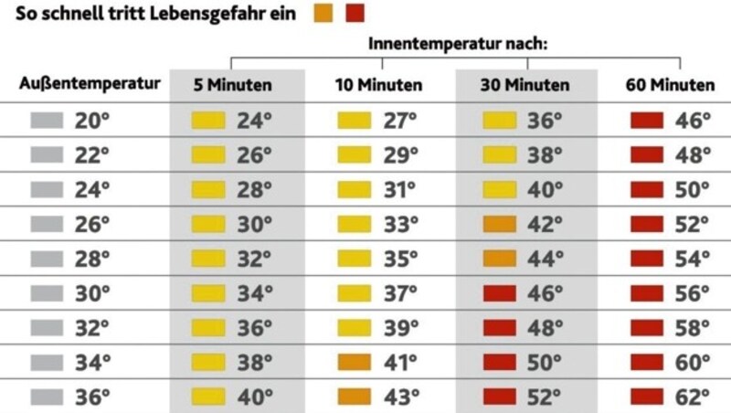 Temperaturanstieg im geschlossenen Auto (Bild: "Krone"-Grafik)