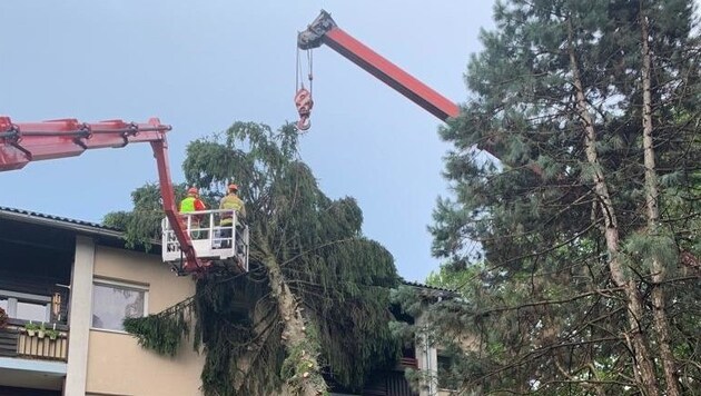 Die Fichte in der Hubertusstraße hat dem kurzen Sturm nicht Stand gehalten. (Bild: Berufsfeuerwehr)