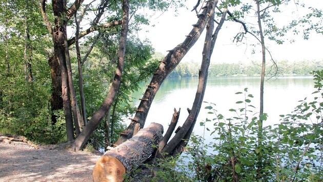 Der Bub spielte mit einem Seil am Ufer (Bild: APA/dpa/Josef Reisner)