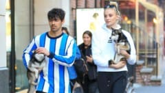 Joe Jonas und Sophie Turner im Frühjahr 2019 mit ihren Alaskan-Klee-Kai-Hunden (Bild: www.PPS.at)