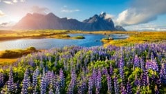 Stokksnes (Bild: ©jojjik - stock.adobe.com)