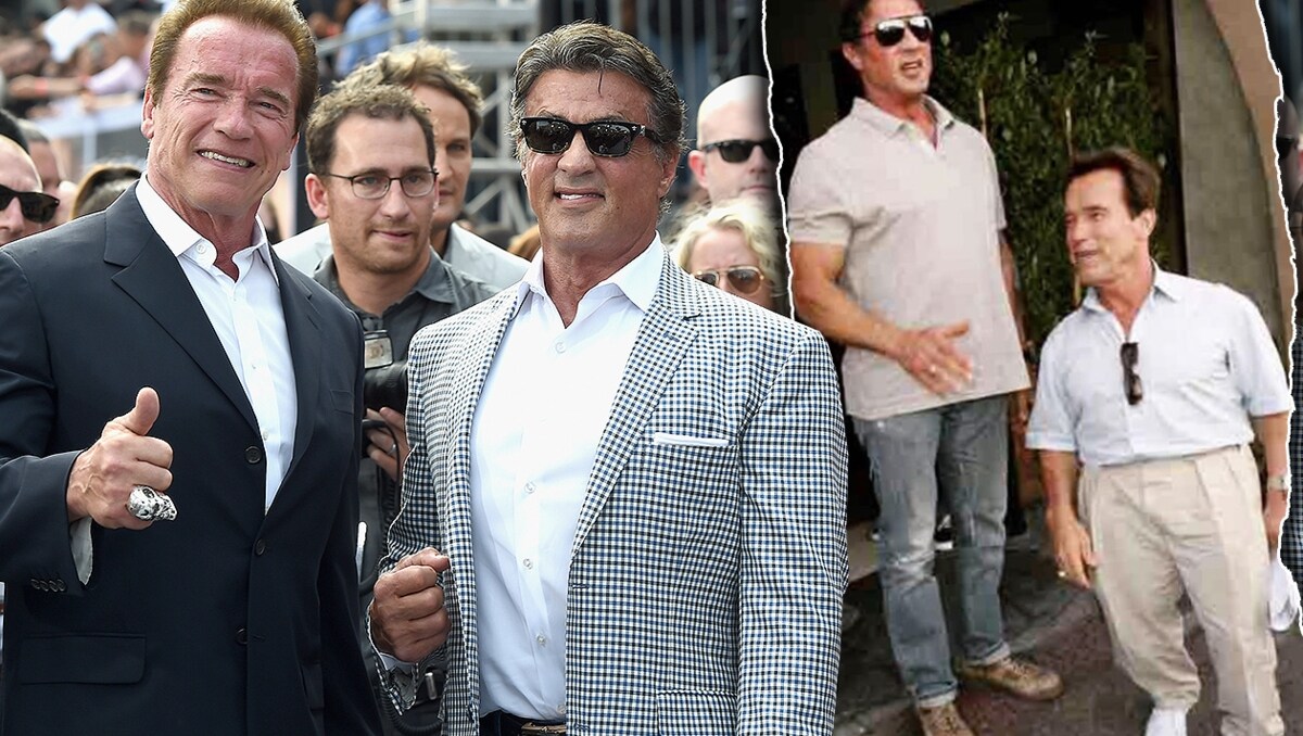 Stallone Enthullt Schwarzeneggers Wahre Grosse Krone At