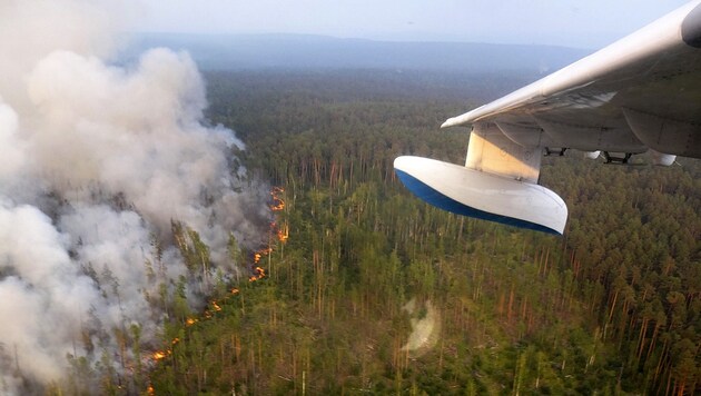 Die enorme Hitzewelle in Sibirien verstärkte das Auftauen des Permafrosts noch zusätzlich. (Bild: AP)