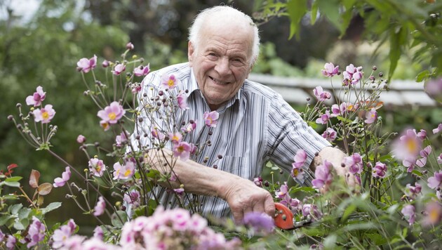 Noch immer fit genug für die Gartenarbeit: Der 97-jährige Pensionist Johann Glück aus Anif. (Bild: Susanne Berger)