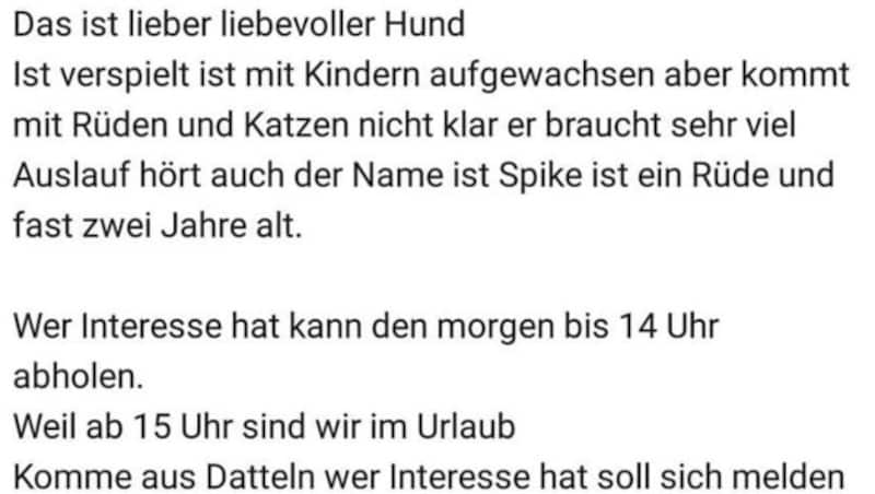 Screenshot der mittlerweile wieder gelöschten Ebay-Anzeige (Bild: Facebook.com)