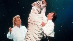 Das Duo Siegfried und Roy bei einem Auftritt mit einem weißen Tiger (Bild: dpa/dpaweb)