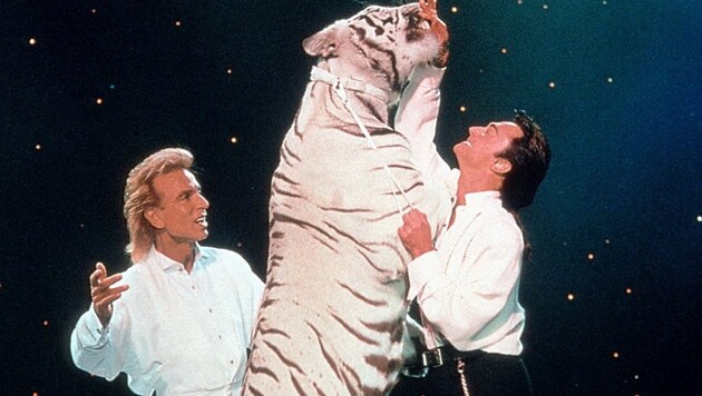Das Duo Siegfried und Roy bei einem Auftritt mit einem weißen Tiger (Bild: dpa/dpaweb)