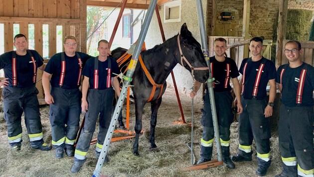 „Sir John“ und die Helfer der Feuerwehr (Bild: FF Vasoldsberg)