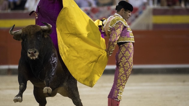 A bullfight (archive image) (Bild: AFP)