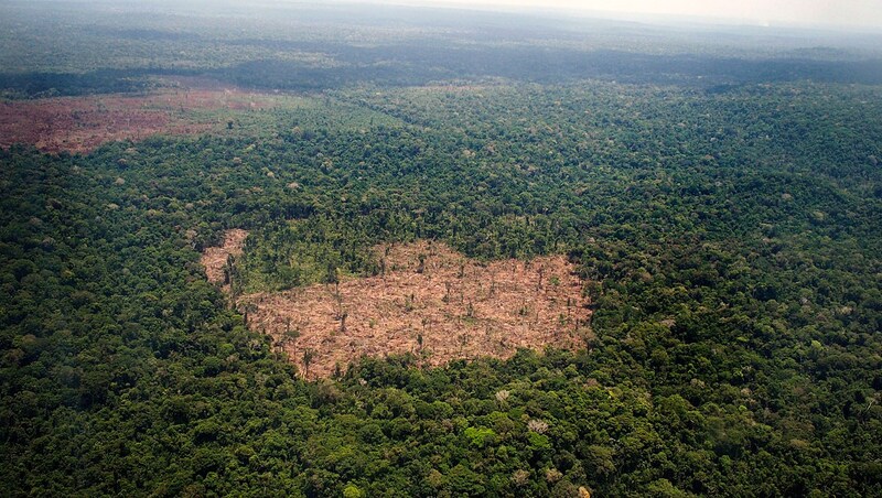 Abholzung im brasilianischen Amazonasgebiet (Bild: AFP/Raphael Alves)