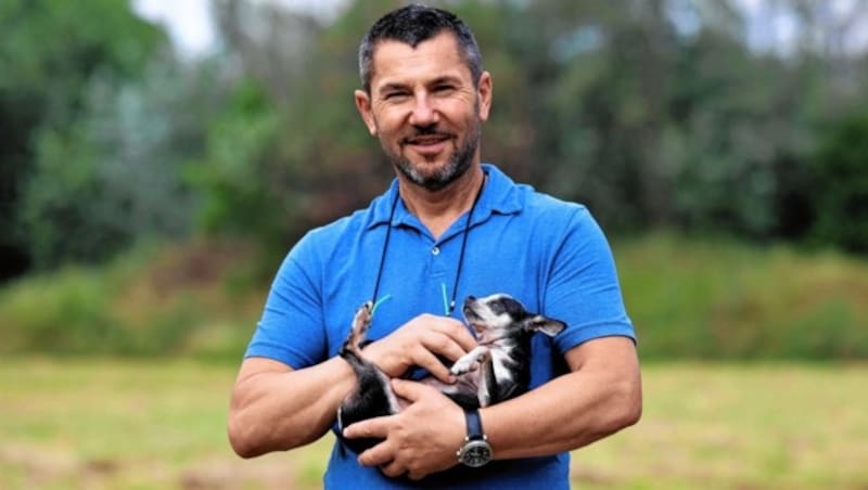 Charly Forstner, Präsident des Aktiven Tierschutzes (Bild: Aktiver Tierschutz Steiermark)