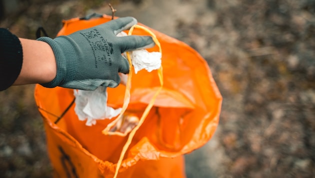 Mit Handschuhen und Müllsäcken von der Salzburger Abfallbeseitigung ausgestattet, zogen die Landjugendmitglieder durch die Straßen und säuberten ihre Heimatorte. (Bild: Landjugend Salzburg)