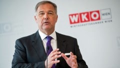 Wiens Wirtschaftskammerpräsident Walter RuckEs könnte an der Zeit sein, dass Wiener ...