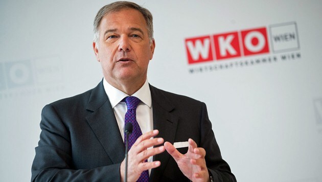 Wiens Wirtschaftskammerpräsident Walter Ruck (Bild: APA/Georg Hochmuth)
