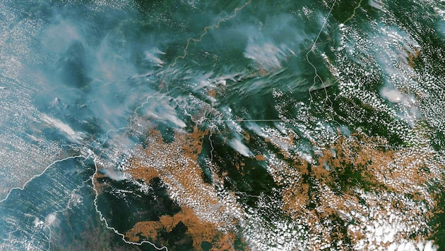 Auf dieser Satellitenaufnahme der NASA sind die Waldbrände deutlich zu sehen. (Bild: EPA)