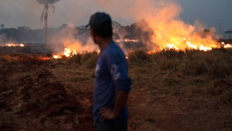 In Brasilien wüteten im August 2019 monatelang verheerende Waldbrände. (Bild: AP)