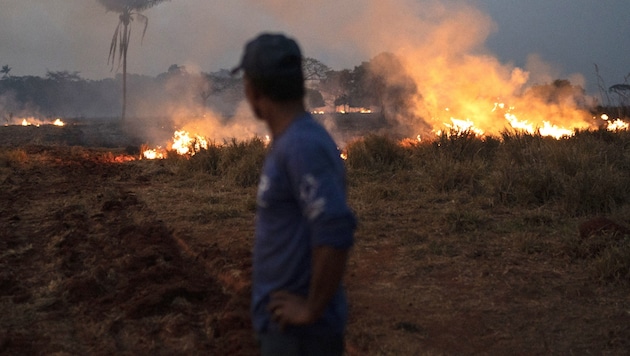 In Brasilien wüteten im August 2019 monatelang verheerende Waldbrände. (Bild: AP)