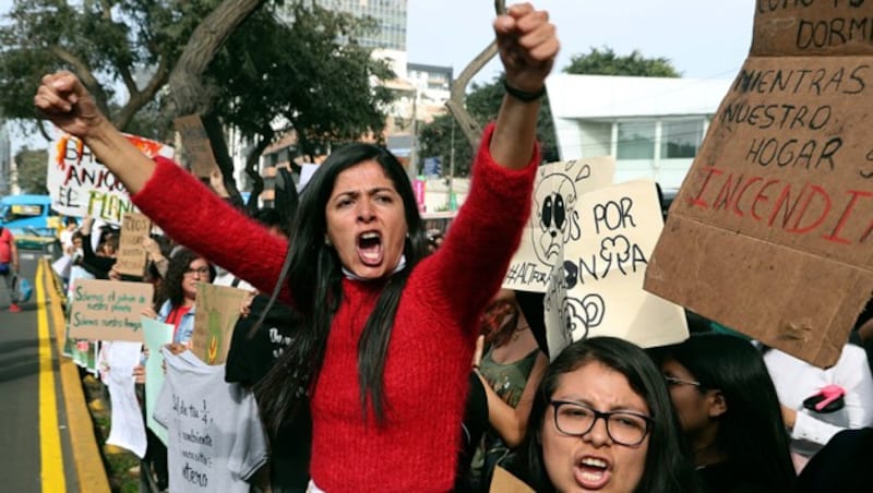 Die Waldbrände führten auch außerhalb von Brasilien zu Protesten - hier vor der brasilianischen Botschaft in Lima (Peru). (Bild: AP)