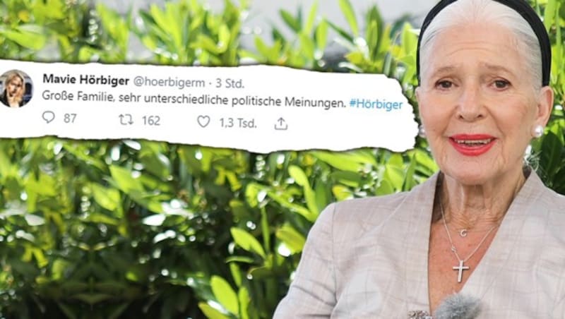 (Bild: ÖVP, twitter.com, krone.at-Grafik)